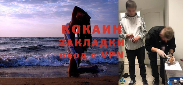 ешки Алексин