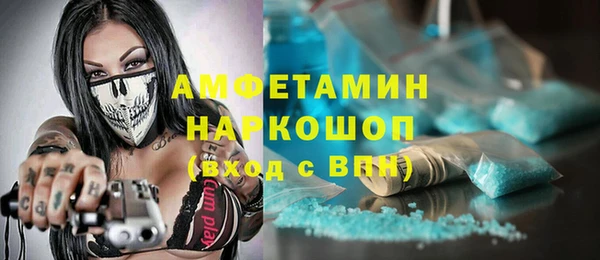ешки Алексин
