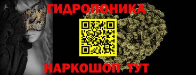 индика Можга