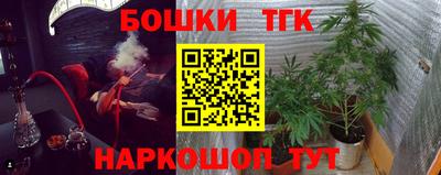 индика Можга