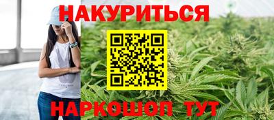 индика Можга