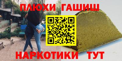 индика Можга