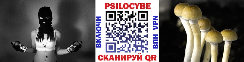Галлюциногенные грибы Psilocybe  Волжский 