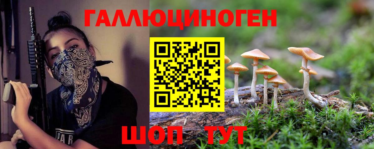 Волжский  Псилоцибиновые грибы мицелий  Вход с VPN 